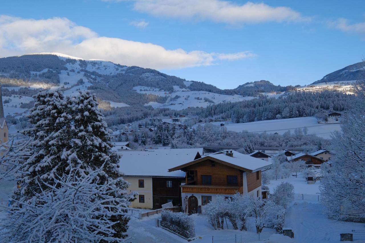 Alpin Penthouse Hollersbach Hollersbach im Pinzgau Exterior foto
