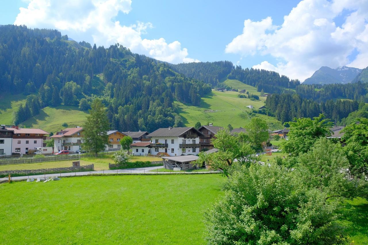 Alpin Penthouse Hollersbach Hollersbach im Pinzgau Exterior foto